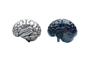 Artificial Intelligence Brains Metal and Circuitry