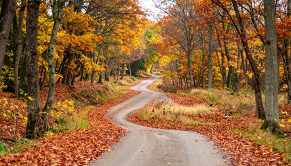 Scenic autumn road winding through a colorful forest trail