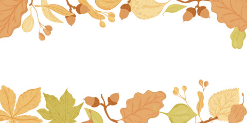 Fall leaves and seeds horisontal banner. Autumn season vector print on white background. For falling festive thanksgiving designs. © Vala Ivashchenko