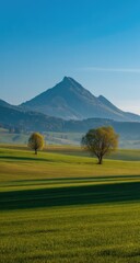 Fototapeta premium Lush green field with two trees, mountain backdrop, clear blue sky. Serene landscape