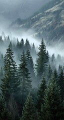 Dense, misty forest scene, mountains shrouded in fog, evergreen trees