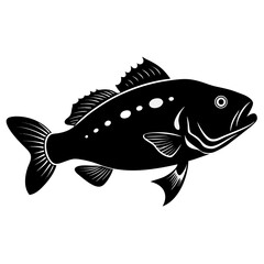 Fototapeta premium Black silhouette of a grouper fish isolated on white background silhouette