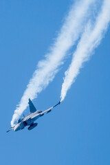 Avión de combate con ala delta maniobrando