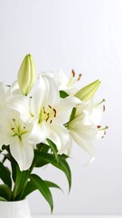 Obraz premium Close-up of white lilies in a vase against a white background