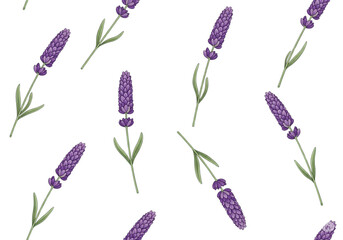 Scattered lavender illustrations on a white background; a peaceful pattern with purple flower heads and green stems.