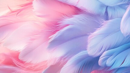 Product (1593) Anime image