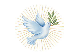 White dove with olive branch and radiant halo isolated on transparent background