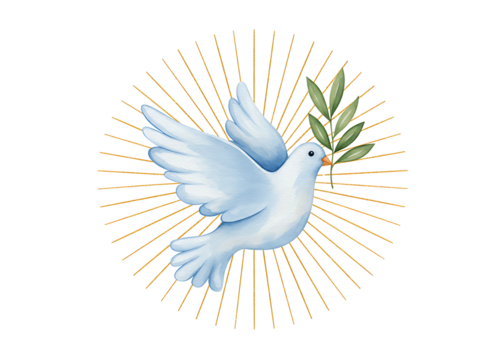 White dove with olive branch and radiant halo isolated on transparent background