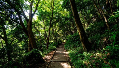 Nature Walk, Lush Forest Path, Scenic Trail, Outdoor Adventure, Greenery, Serene Environment