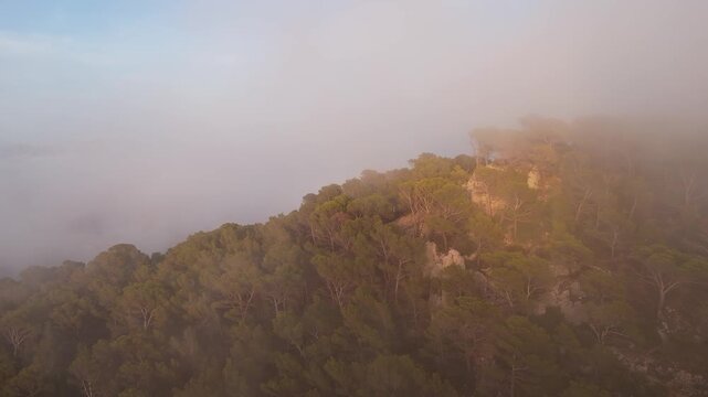 Drone video over Spanish mountain peak covered with forest, with golden sunset light illuminating drifting clouds in the foreground.