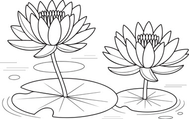 Tranquil Water Lilies with Green Lotus Flowers, Line Art for Nature Lovers