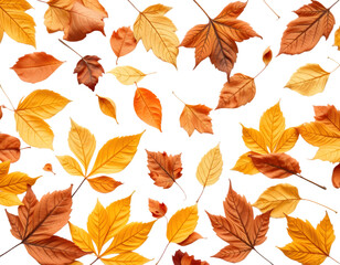 Obraz premium Autumn leaves background texture