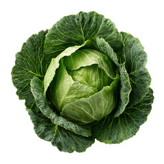 Obraz premium Cabbage isolated on transparent background
