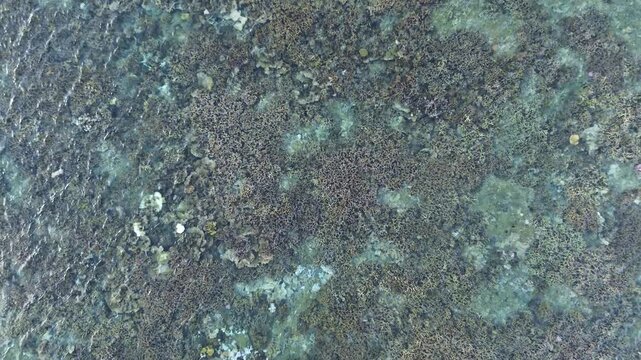 "Photo ou vid&eacute;o drone d&rsquo;une plage paradisiaque &agrave; l&rsquo;&icirc;le Maurice, sable blanc et lagon turquoise, cocotiers et paysages tropicaux spectaculaires pour destination vacances de r&ecirc;ve"
