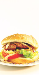 Front shot. Hamburger with its typical bread, lettuce, tomato and onion.	