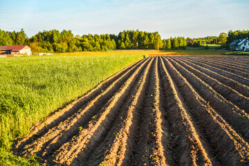 Furrowed farmland near countryside residential area