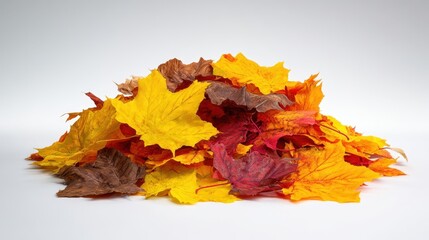 The vibrant pile of autumn leaves showcasing nature's colorful decay.