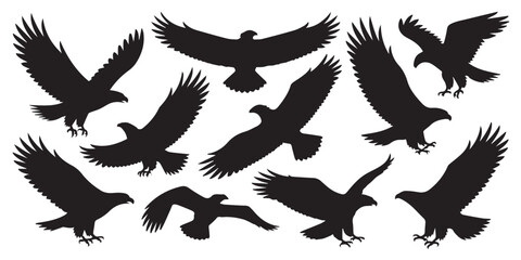 detailed flying eagle and hawk silhouettes collection vector set for nature graphics wildlife design resources