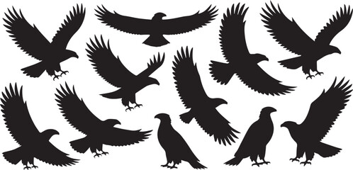 dynamic eagle and hawk silhouette pack vector ai eps wildlife shapes for flight study nature design use