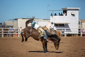 Bareback Bucking Bronc Riding At Country Rodeo