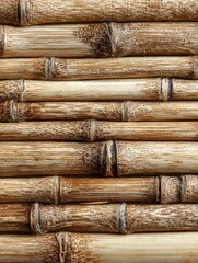 Horizontal, close-up shot of stacked bamboo poles