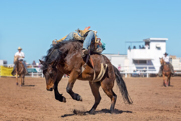 Naklejka premium Bareback Bucking Bronc Riding At Country Rodeo