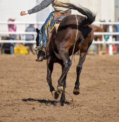 Bareback Bucking Bronc Riding At Country Rodeo