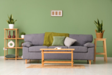 Stylish grey sofa, wooden coffee table and houseplants near green wall