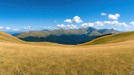 Fototapeta premium A panoramic view of rolling hills under a bright blue sky, dotted with fluffy clouds, This serene landscape is perfect for nature-themed projects, travel promotions, or wellness content,