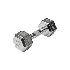 Hexagonal Chrome Dumbbell - 22.2 lbs - Fitness Equipment