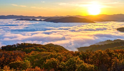 Naklejka premium Sunrise over a sea of clouds, autumn foliage