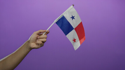 Caucasian man's hand holds a waving panama flag against an isolated purple wall background,...