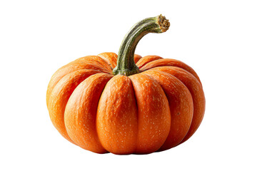 Ridged bright orange pumpkin on display