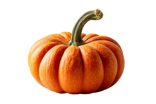 Ridged bright orange pumpkin on display