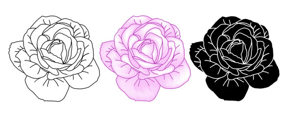 Hand drawn roses head set in pink color, silhouette and line art for packaging, social media post, cover, banner, creative post and wall arts. Isolated outline rose bud sketches in pink color. Vector
