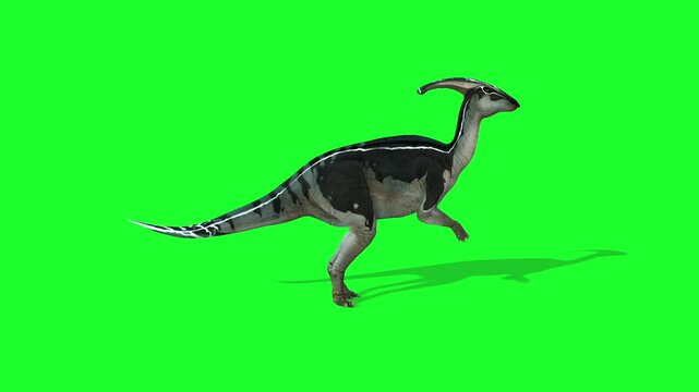 Parasaurolophus Idle
