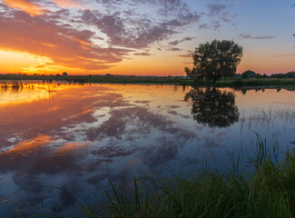 Warm summer morning on the lake before dawn with tree on background 