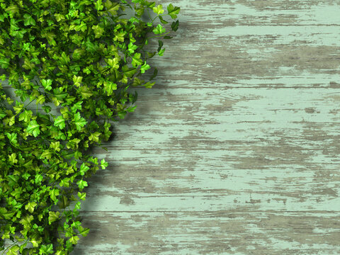 Fresh parsley leaves on wooden background nutrition healthy food 3d render