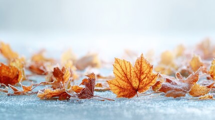 The vibrant autumn leaves scattered on a frosty ground.