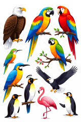 Naklejka premium Bird Vector Set – Eagle, Parrot, Dove, Owl, Peacock, Flamingo & More Wildlife Illustration