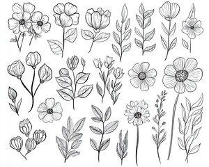 Vector line art of various blooming flowers and leaves in different shapes forming