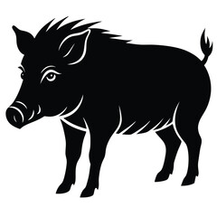 wild boar vector animal