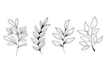 Botanical Line Art Set of Hand-Drawn Floral Elements Vector. Simple Black and White Leaf and Plant Illustrations for Organic, Nature-Inspired Designs.