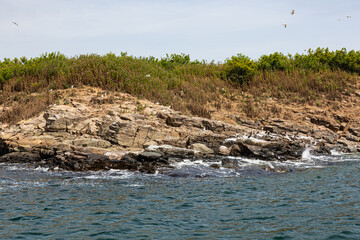 View of the coast of an island from the sea