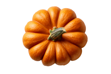 Whole orange ribbed pumpkin with green stem viewed from above