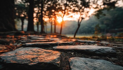 Obraz premium Stone path bathed in golden sunset light