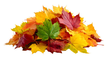 Fototapeta premium Pile of autumn leaves isolated on a transparent background
