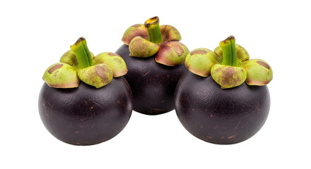 Isolated Fresh Mangosteen Fruits
