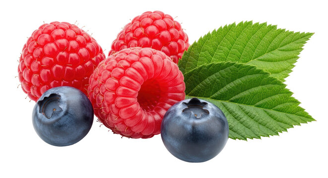 Isolated Raspberries and Blueberries