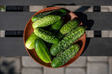 Freshly harvested cucumbers in a brown bowl placed on a black garden table outdoors under bright...